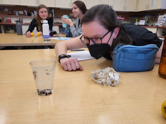 teachers in training performing science experiment.