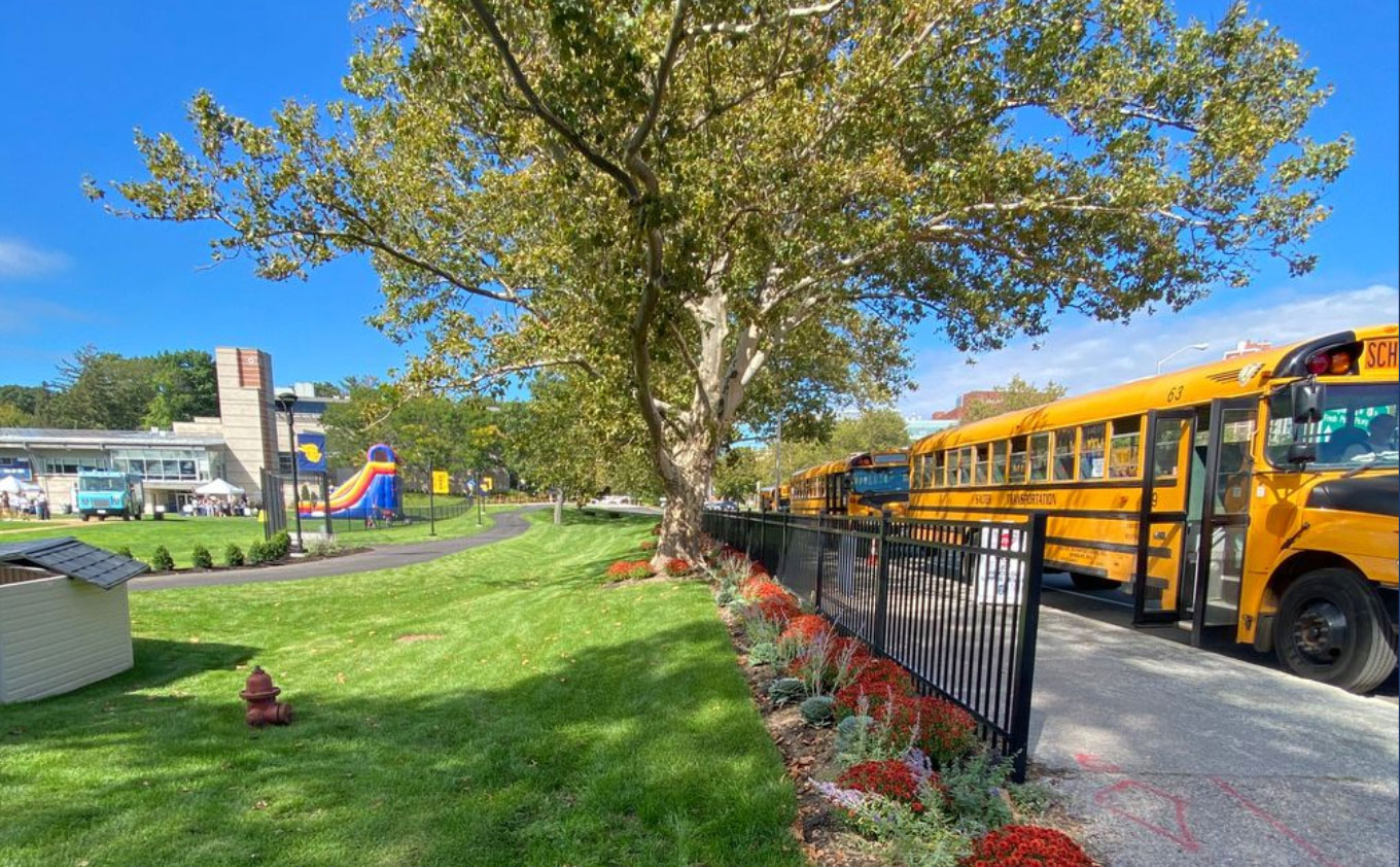 buses in line at school.