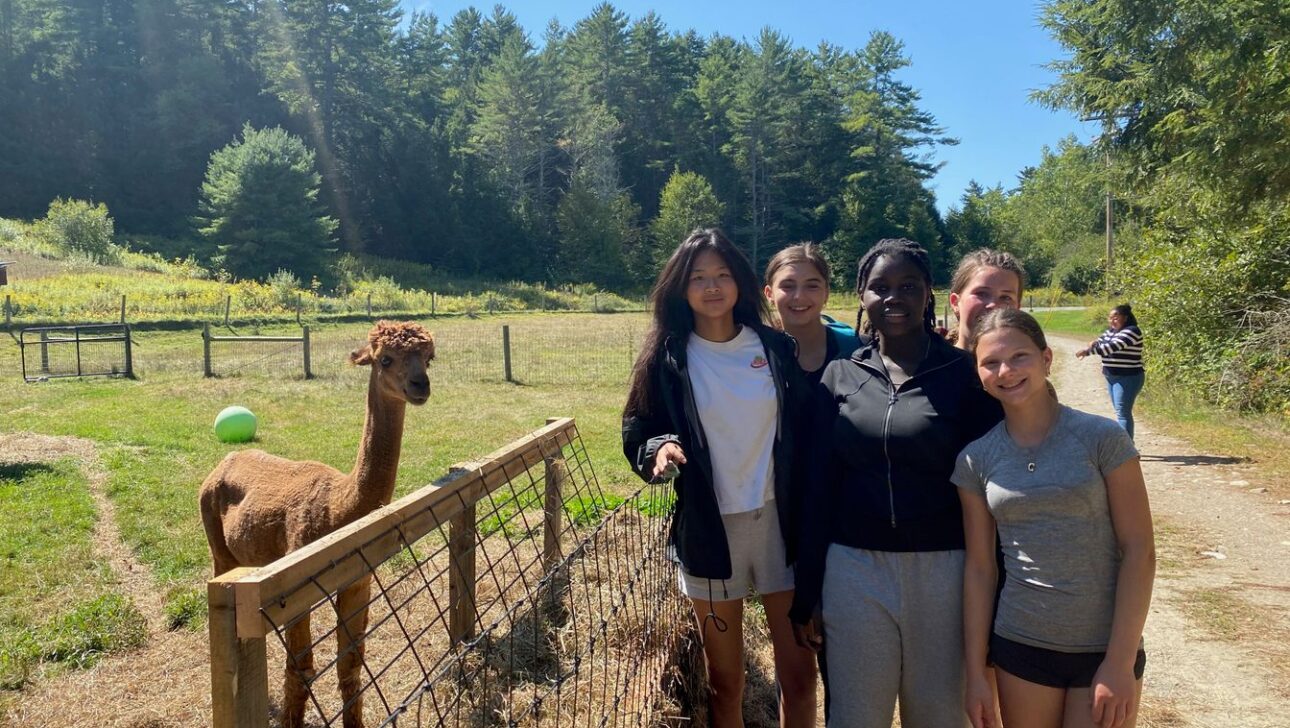 Five people stand next to a fenced area with an alpaca on a sunny day, with trees and greenery in the background.