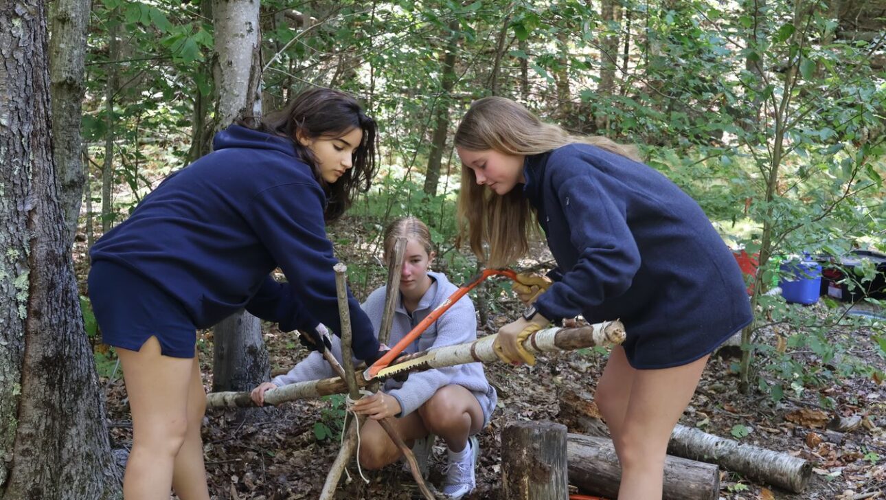 Three girls in navy sweatshirts saw branches together in a forested area, surrounded by trees, logs, and outdoor gear.